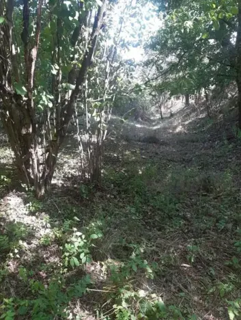 Prodej pozemku, Prostiboř, 2424 m2