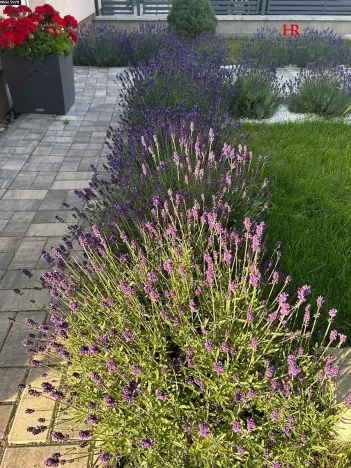 Prodej rodinného domu, Úhonice, Slunečná, 90 m2