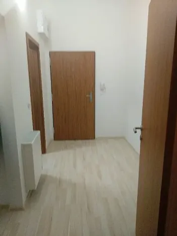 Pronájem bytu 1+kk, Olomouc, Wolkerova, 36 m2