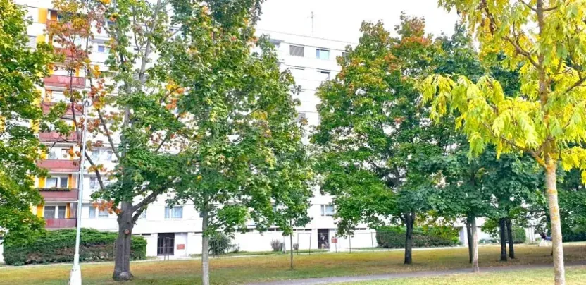 Pronájem bytu 3+kk, Hradec Králové, Milady Horákové, 68 m2