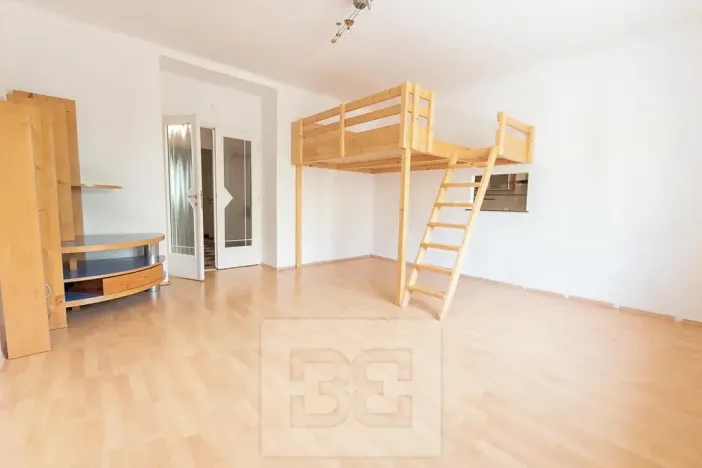 Pronájem bytu 2+1, Praha - Žižkov, Hartigova, 80 m2