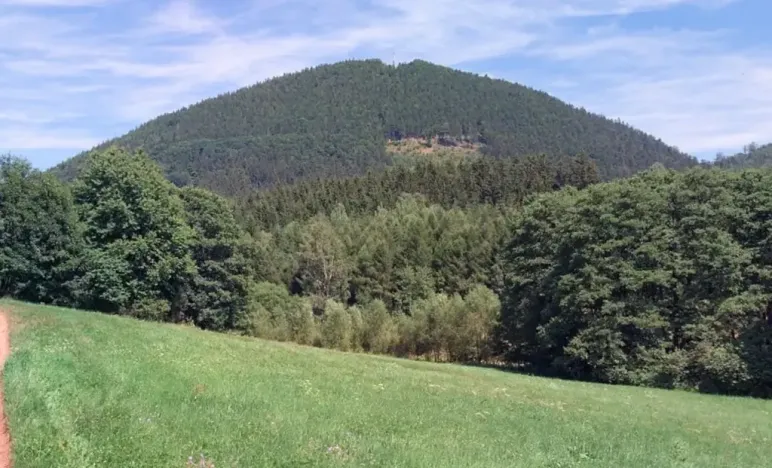 Prodej louky, Bernartice, 13423 m2