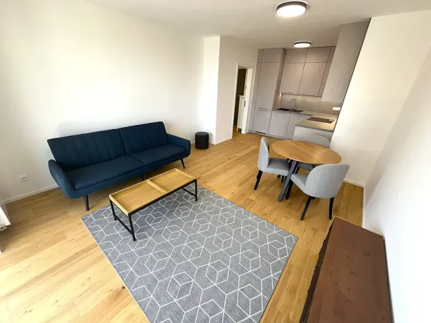 Pronájem bytu 2+kk, Brno, Bratislavská, 48 m2