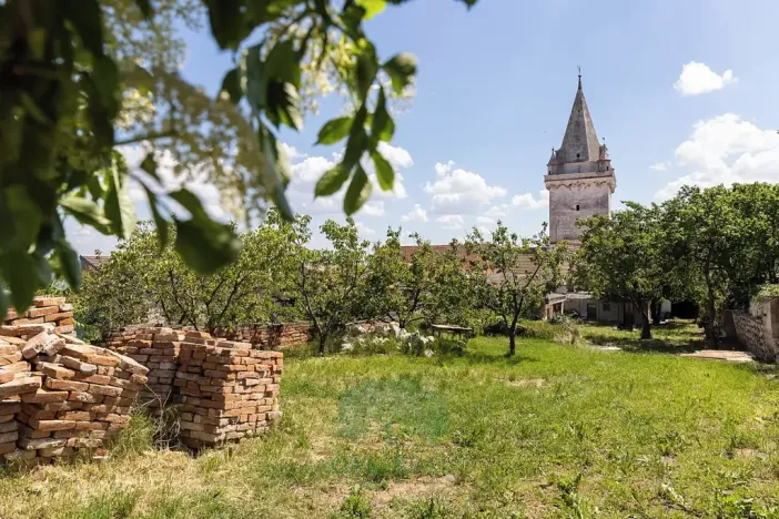 Prodej domu, Pavlov, Na Návsi, 200 m2