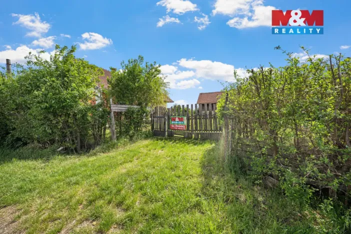 Prodej zemědělské usedlosti, Běchary - Běchárky, 141 m2