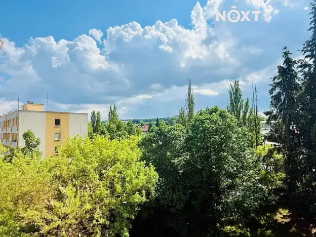 Prodej bytu 3+1, Příbram, Brodská, 71 m2