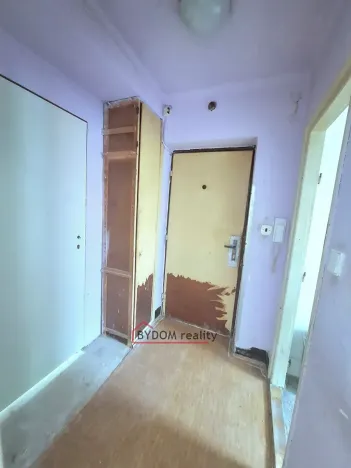 Prodej bytu 2+1, Plzeň, Sudova, 48 m2