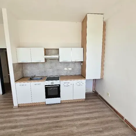 Pronájem bytu 2+kk, Mlékojedy, 50 m2
