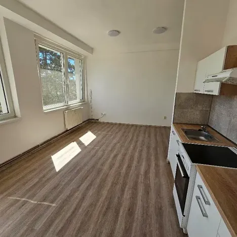 Pronájem bytu 2+kk, Mlékojedy, 50 m2