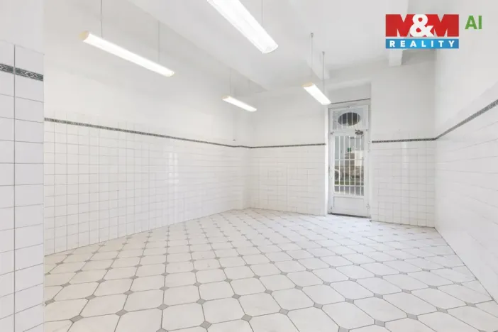 Prodej obchodního prostoru, Louny, Husova, 744 m2