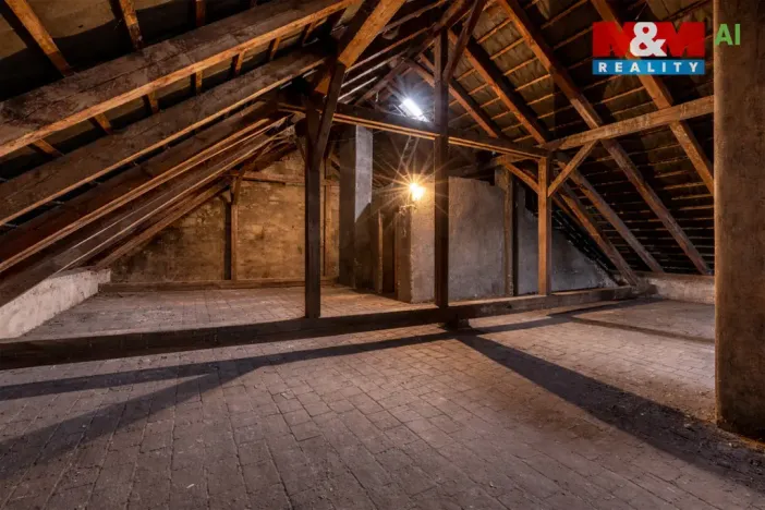 Prodej obchodního prostoru, Louny, Husova, 744 m2
