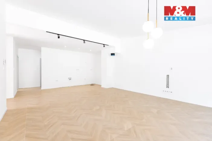 Prodej bytu 3+kk, Ostrava - Radvanice, Dvořáčkova, 105 m2