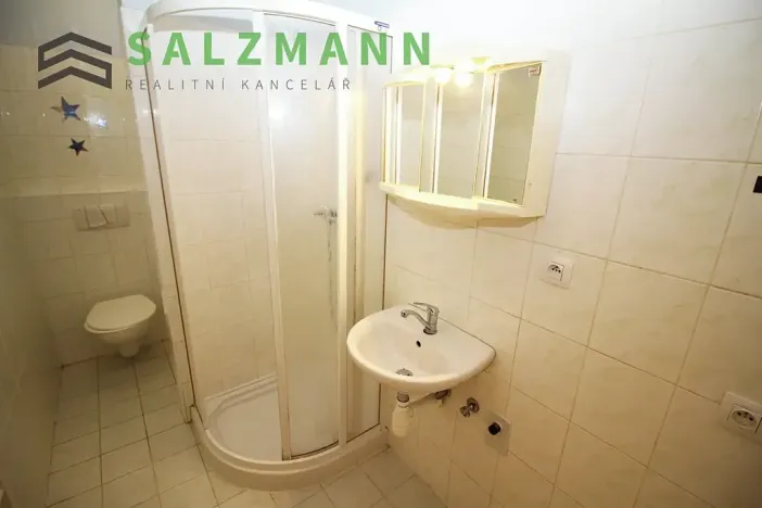 Pronájem bytu 2+kk, Plzeň, Malesická, 43 m2