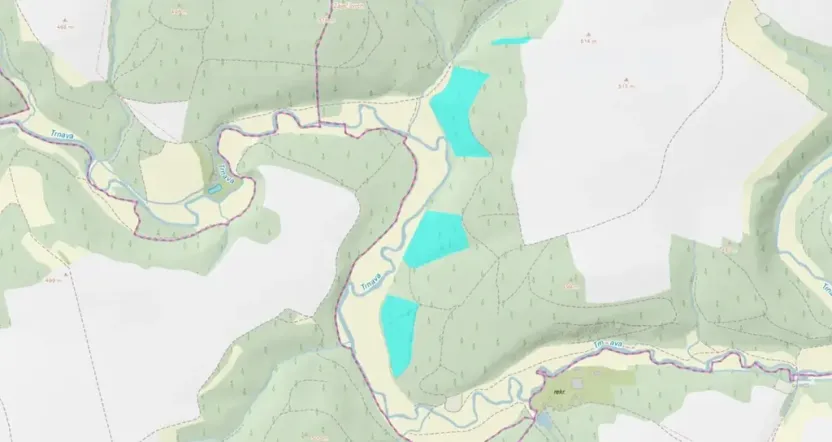 Prodej lesa, Křelovice, 102822 m2