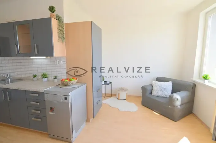 Prodej bytu 2+1, České Budějovice, Větrná, 61 m2