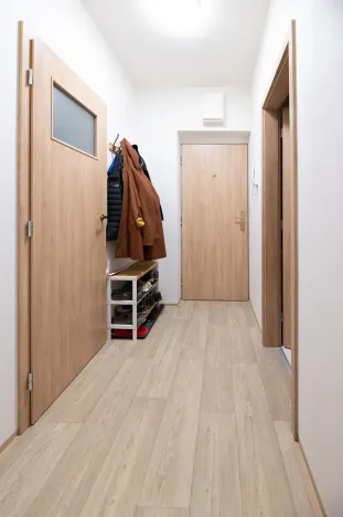 Prodej bytu 1+kk, Vranovice, Nad Dolinami, 48 m2