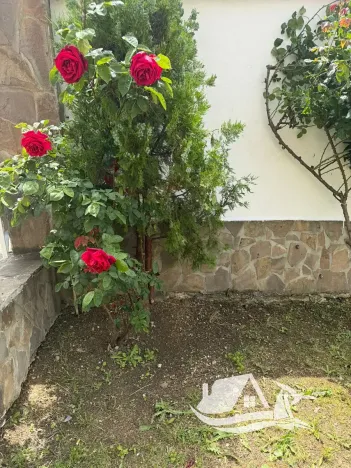 Prodej rodinného domu, Nesebar, Bulharsko, 340 m2