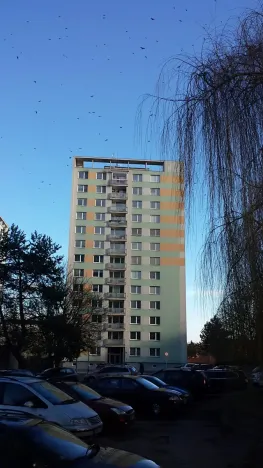 Pronájem bytu 1+kk, Brno, Herčíkova, 29 m2