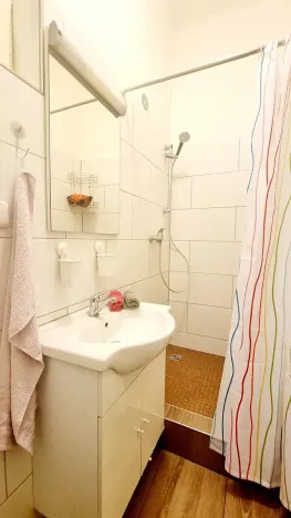 Pronájem bytu 2+1, Brno, Zborovská, 52 m2