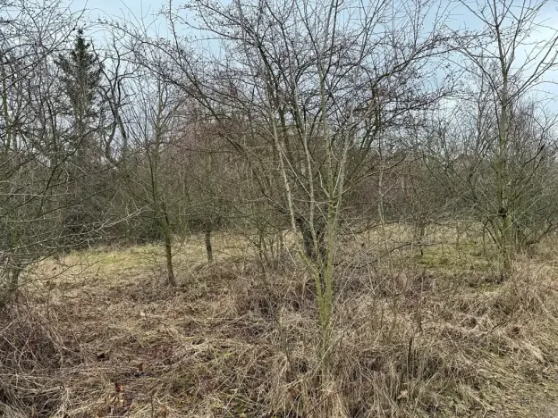 Prodej zahrady, Bechlín, 630 m2
