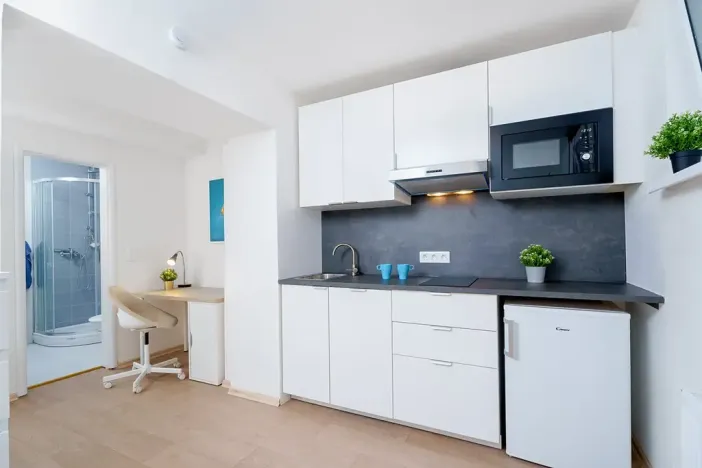 Prodej bytu 1+kk, Praha - Krč, Čerčanská, 20 m2