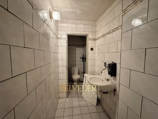 Pronájem obchodního prostoru, Teplice, Školní, 441 m2