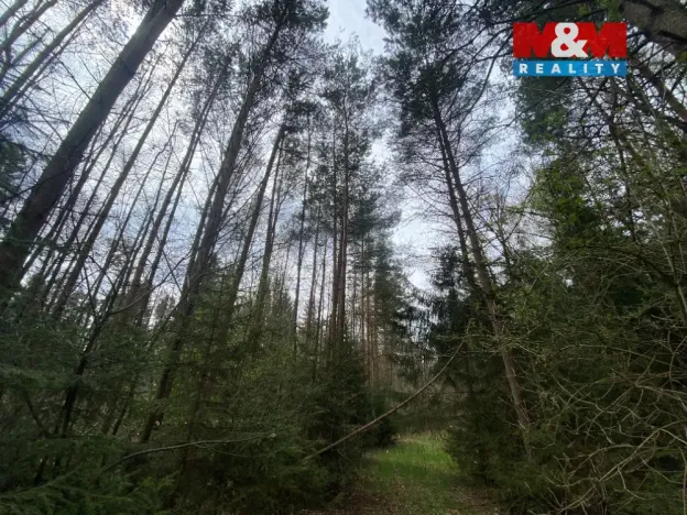 Prodej lesa, Volfířov - Brandlín, 5958 m2