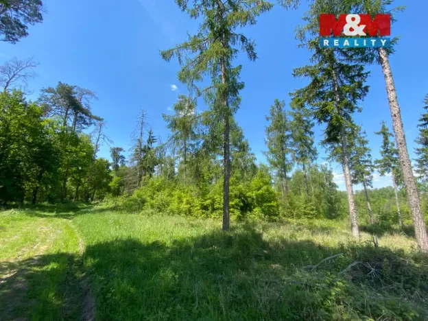 Prodej lesa, Kropáčova Vrutice - Sušno, 15167 m2