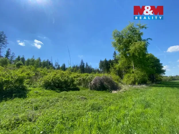 Prodej lesa, Kropáčova Vrutice - Sušno, 15167 m2