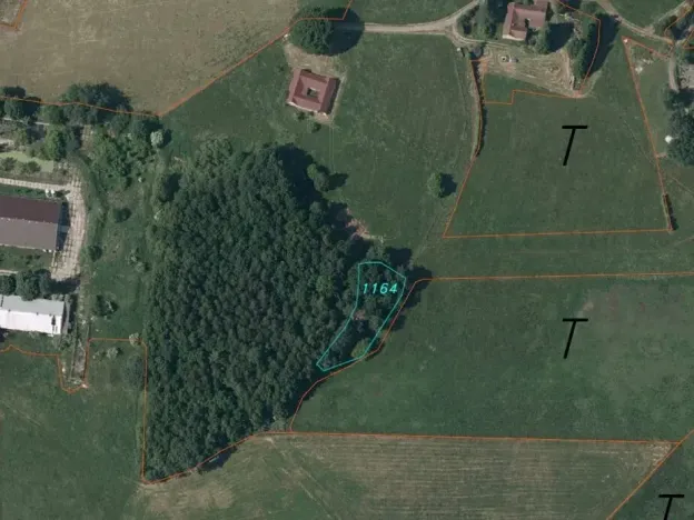 Dražba louky, Hranice, 1061 m2