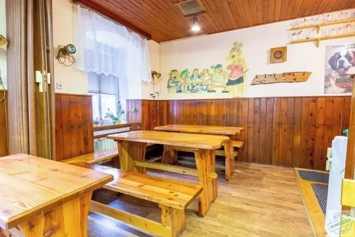 Prodej chalupy, Ludvíkov, 510 m2