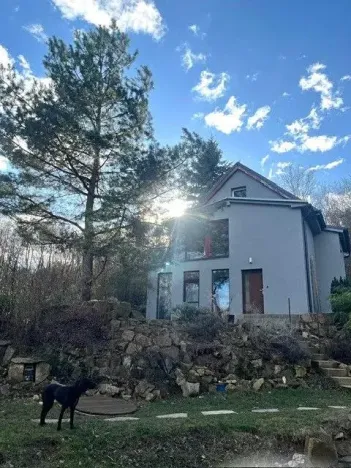 Pronájem rodinného domu, Davle, V Kopanské, 150 m2
