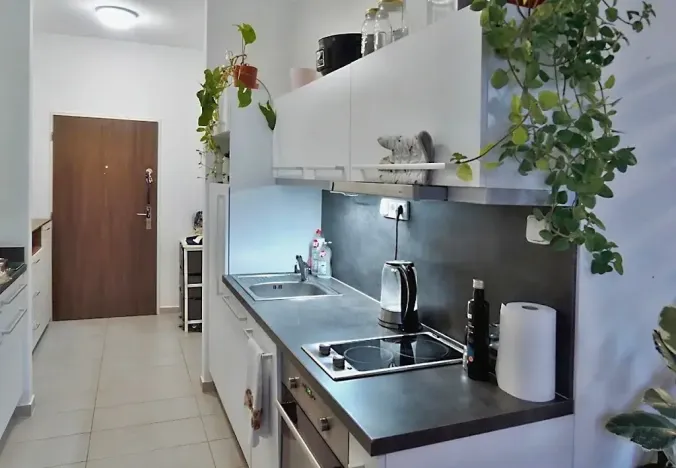 Pronájem bytu 1+kk, Brno, Příční, 42 m2