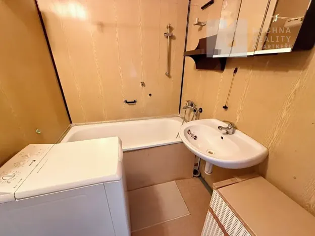Prodej bytu 1+1, Rosice, Kaštanová, 39 m2
