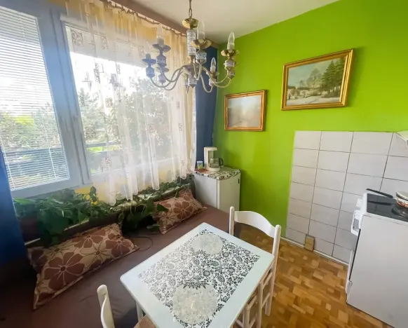 Prodej bytu 2+1, Duchcov, Vrchlického, 61 m2