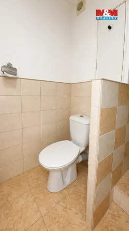Prodej bytu 2+1, Bílina - Pražské Předměstí, Aléská, 48 m2