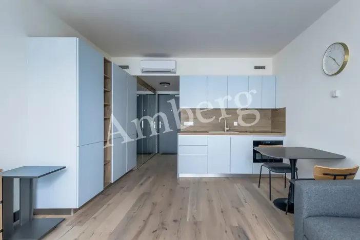 Pronájem bytu 1+kk, Praha - Karlín, Sokolovská, 28 m2