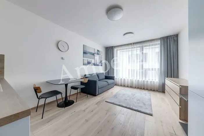 Pronájem bytu 1+kk, Praha - Karlín, Sokolovská, 28 m2