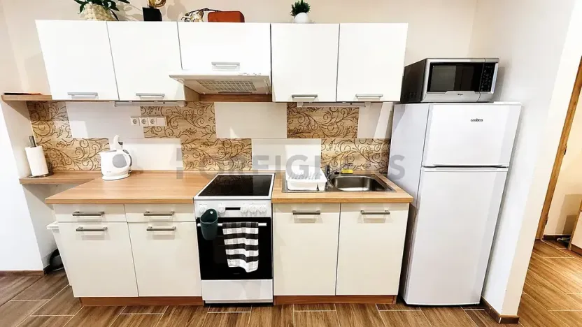 Pronájem bytu 1+1, Brno, Kotlářská, 41 m2