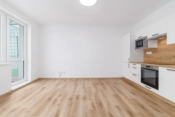 Prodej bytu 2+kk, České Budějovice, K. Chocholy, 48 m2