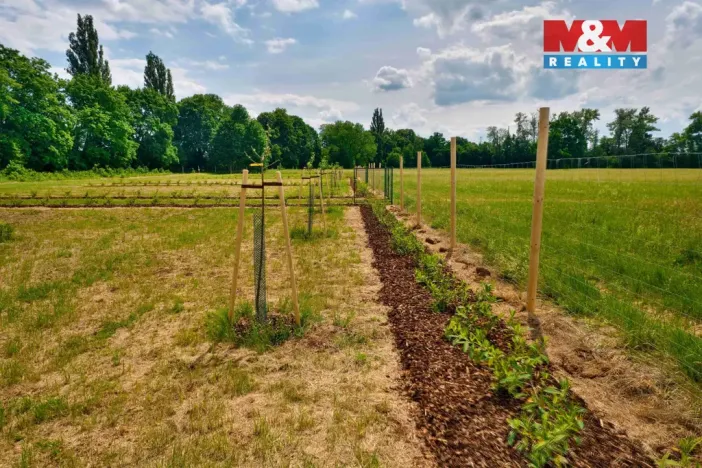 Prodej zahrady, Hradec Králové, 1000 m2