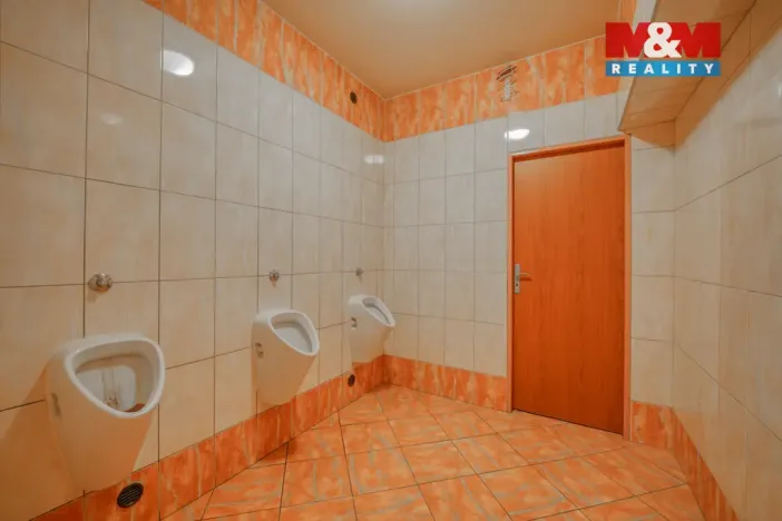 Pronájem obchodního prostoru, Plzeň - Jižní Předměstí, Americká, 145 m2