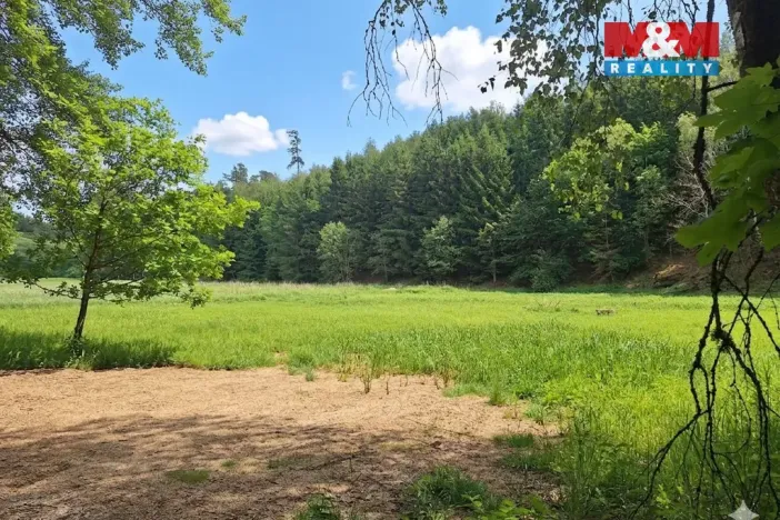 Prodej louky, Bor - Skviřín, 1522 m2
