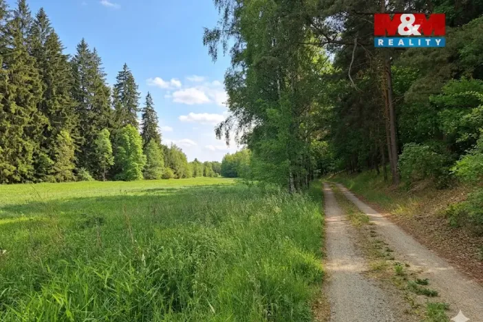 Prodej louky, Bor - Skviřín, 1522 m2