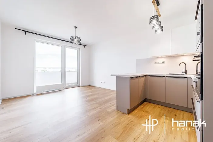 Pronájem bytu 1+kk, Olomouc, Aloise Rašína, 35 m2