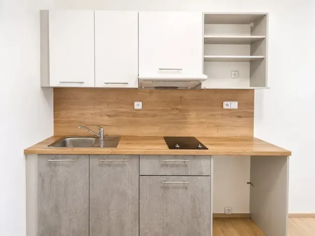 Pronájem bytu 1+kk, Syrovice, 26 m2