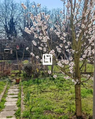 Prodej bytu 1+kk, Olomouc, Ibsenova, 38 m2
