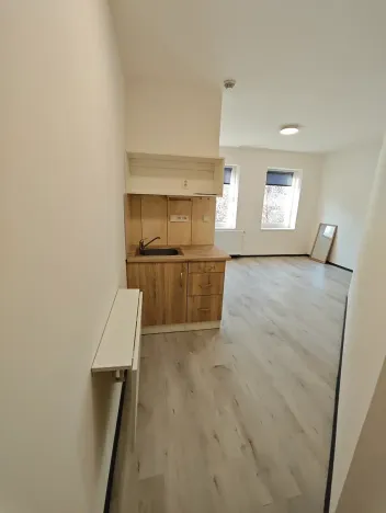 Pronájem bytu 1+kk, Praha - Hlubočepy, Na Zlíchově, 23 m2