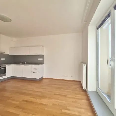 Pronájem bytu 1+1, Praha - Smíchov, Fráni Šrámka, 44 m2