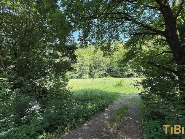 Prodej louky, Bílovice nad Svitavou, 3200 m2
